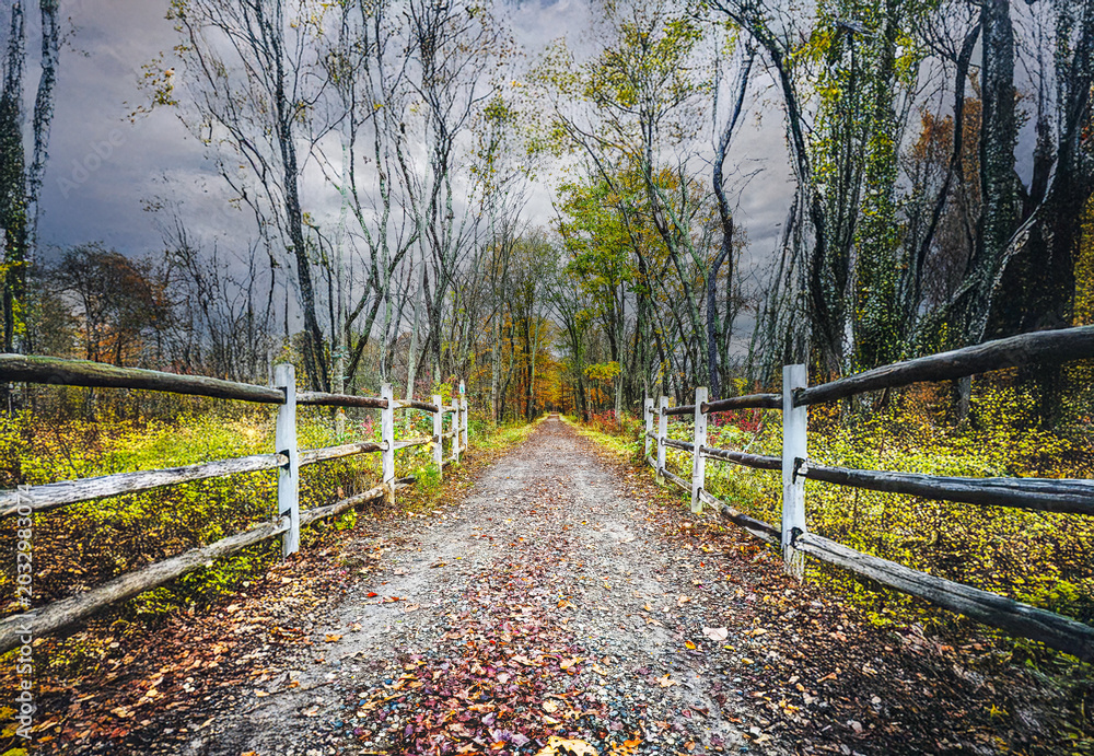 Fototapeta premium Trail in the Country