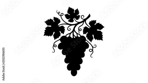 Grapes And Leaves Silhouette On White Background Botanical Illustration