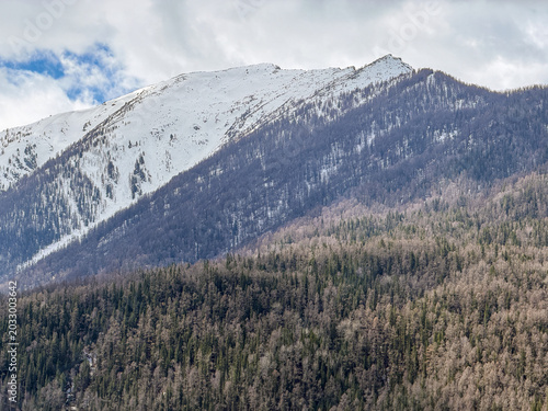 Majestic snow-capped Altai Mountains under a bright blue sky with clouds in Xinjiang, China.