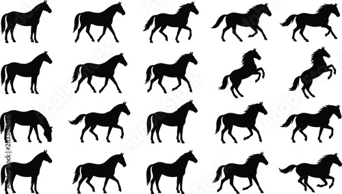 Foto Horse Animation Cycle Multiple Poses and Gait Sequences for Motion Graphics and