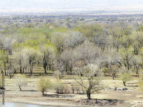 Panoramic scenic view of multicolored rock formations and riverside forest in Altay region, China.