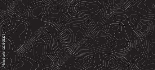 Foto Topographic map background
