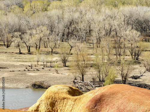 Panoramic scenic view of multicolored rock formations and riverside forest in Altay region, China.