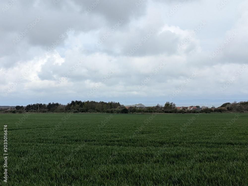 Fototapeta premium Scenic view of lush green fields under a cloudy sky in Scotland, showcasing the natural beauty and tranquility of the rural landscape.
