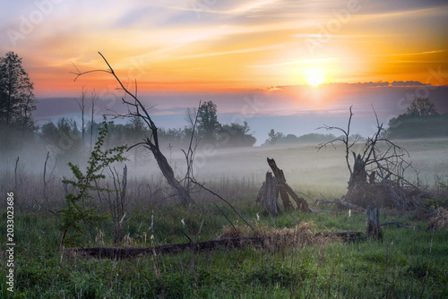 Morgenstimmung in Masuren