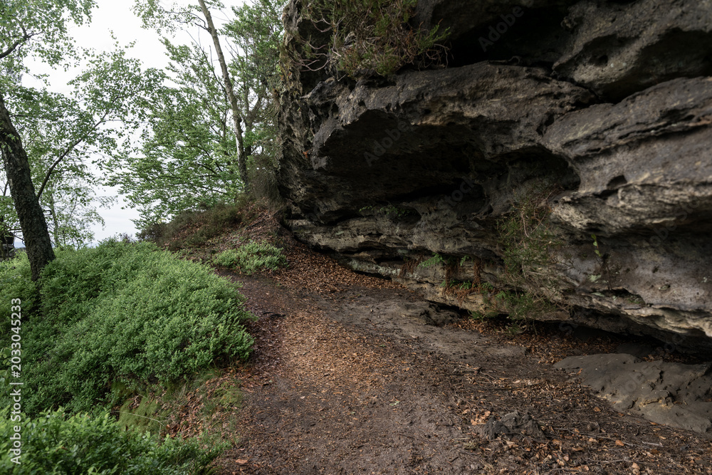 Fototapeta premium Sandstone cliffside trail near Grosser Zschirnstein in Saxon Switzerland, Germany.