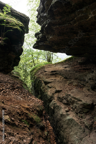 Atmospheric sandstone passage near Grosser Zschirnstein, Saxon Switzerland, Germany.