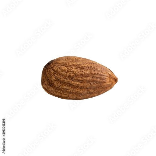 Single brown almond nut, detailed texture