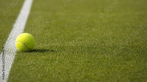 Tennis Ball on Grass Court Near White Line Close-Up Captured in Summer Match