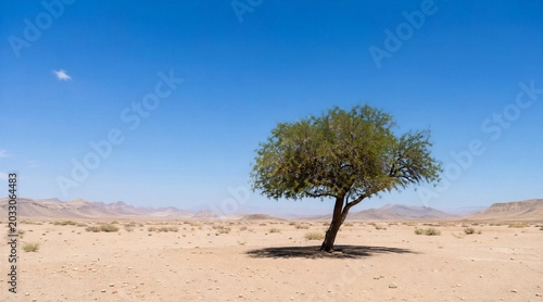 Solitary Tree in Vast Desert Landscape Under Clear Blue Sky With Distant Mountains