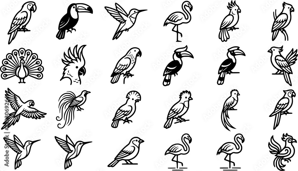 Obraz premium Tropical Exotic Bird Line Icon Set Featuring Parrot, Toucan, Hummingbird, Flamingo, Peacock, Cockatoo, Hornbill, and Decorative Avian Vector Designs