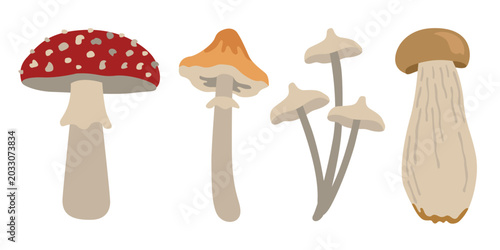 Foto Hand-drawn autumn forest wild mushrooms, toadstools, fly agaric illustrations fo