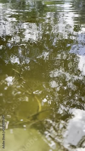 Tranquil river water surface with a beautiful sky and green tree reflection. Picturesque view of calm river flow on a cloudy spring day. Peaceful nature and water backdrop