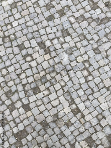 Cobblestone Textured Path Ground