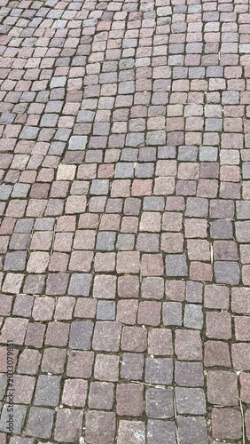 Cobblestone Textured Path Ground