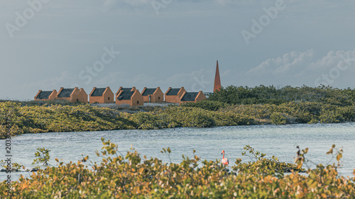 landscape with lake and bushes