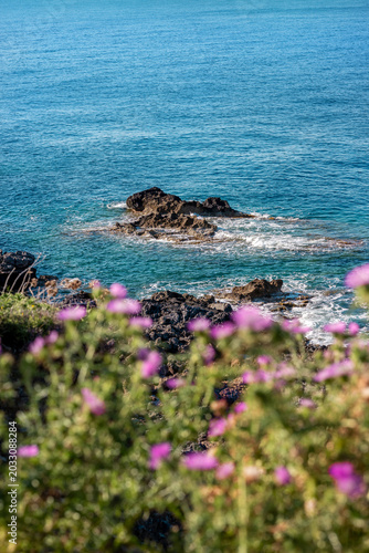 Summer scenery at Mediterranean with pink flowers on the Crete island