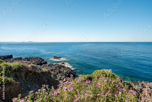 Summer scenery on the Crete coastline with the blue sea and pink flowers