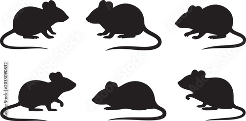 Fotografie Cartoon mice walking and standing in different poses