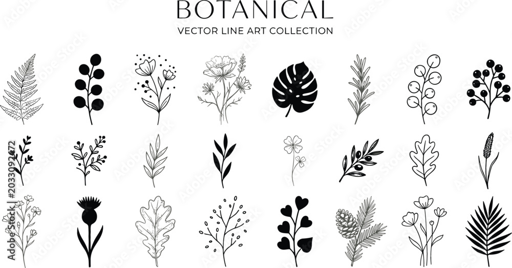 Fototapeta premium Botanical vector line art collection featuring elegant black floral elements wild flowers leaves and branches isolated on white background for minimalist graphic design