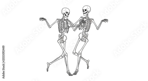 Φωτογραφία Two skeletons dancing together in a playful pose.