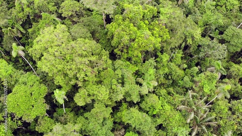Top down aerial view of the rainforest canopy, near Rio Tiputini in Yasuni National Park, Orellana province, the Ecuadorian Amazon.
