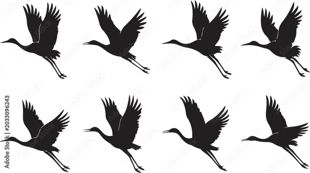 Obraz premium Silhouette crane birds flying in formation