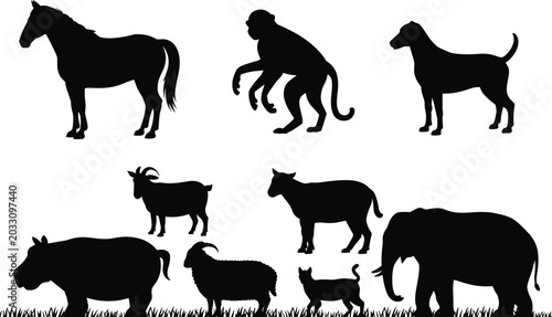 Photography Animal Silhouette Collection Featuring Horse Elephant Monkey Dog Goat and Farm W