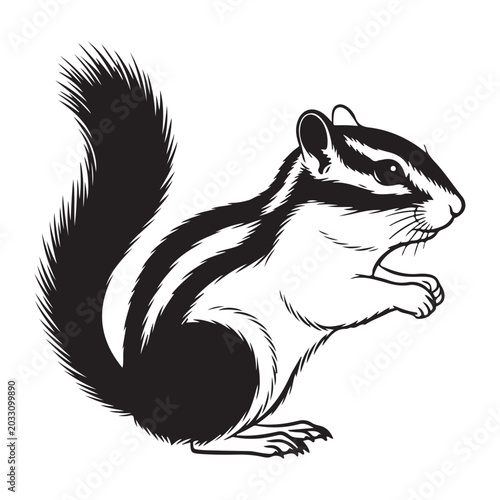Bilde på lerret Black and white vector illustration of a standing chipmunk with striped back and