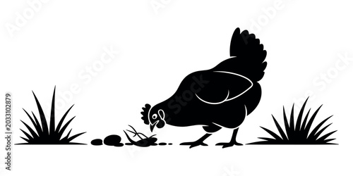 Photos Black silhouette of a hen pecking at a bug in the grass chicken bird fowl in whi