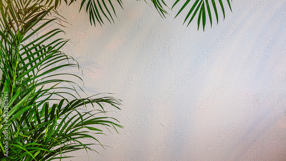 Naklejka premium Green plants against a light wall create a simple background for a calm setting in a quiet space during daytime