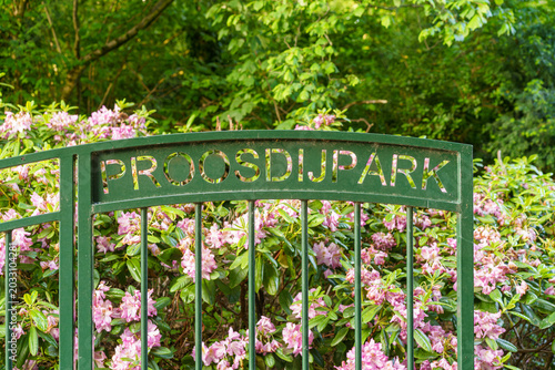 Ede, Gelderland, Netherlands - 22 May 2026: Rhododendrons behind gate leading to Proosdijpark, a popular and lively city park located in the Veldhuizen neighborhood of Ede