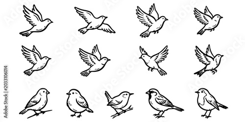 Photos Birds flying and perched on branches in a natural setting outdoors freely