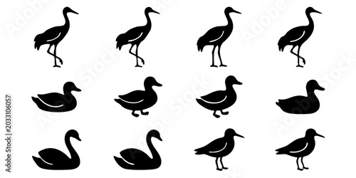 Tableau sur toile Various black silhouettes of ducks and swans standing in different poses