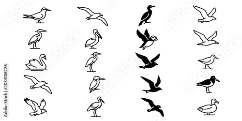 Various bird silhouettes and outlines in flight and standing poses