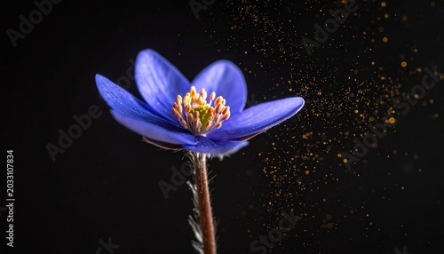 Ethereal blue spring blossom gracefully scattering golden pollen, a captivating macro close-up highlighting the subtle beauty of nature's vitality