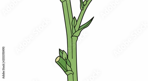 Stylized green plant stem with small leaf buds and a cut end