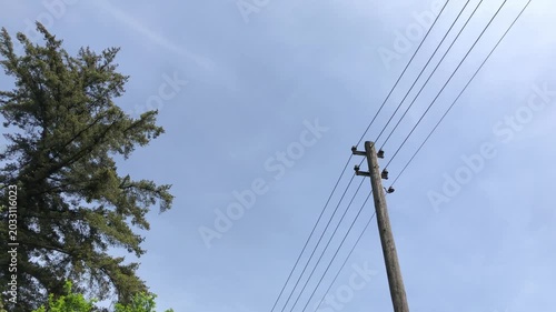 Wooden telephone landline pole with wires against blue sky in the rural countryside
