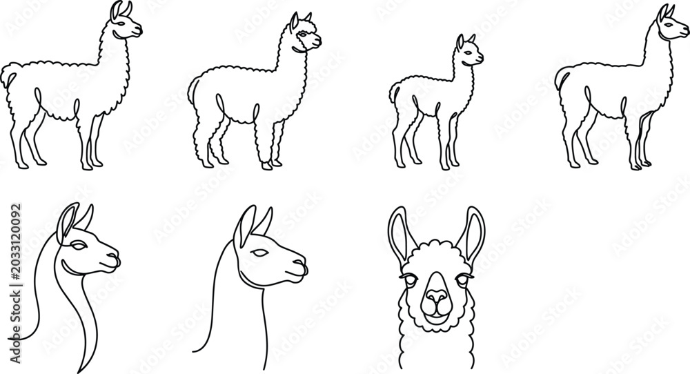 Fototapeta premium Llama and Alpaca Line Art Icon Set with Full Body Standing Poses and Side Face Portrait Views for Animal and Farm Designs