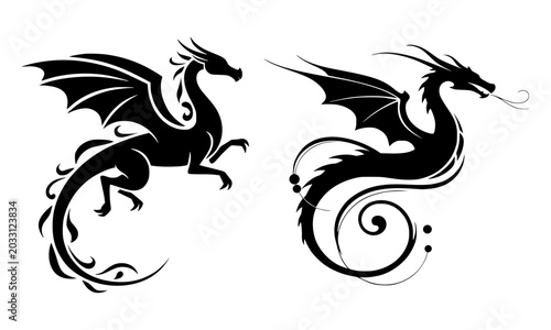 black and white dragon