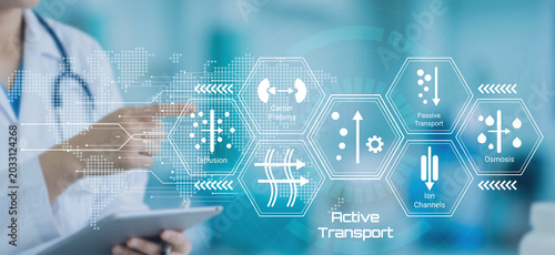 Photos Medical professional illustrating cellular transport mechanisms including diffus