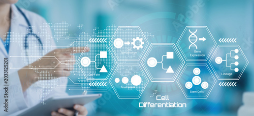 Photos Scientist using digital tablet to illustrate cell differentiation processes and