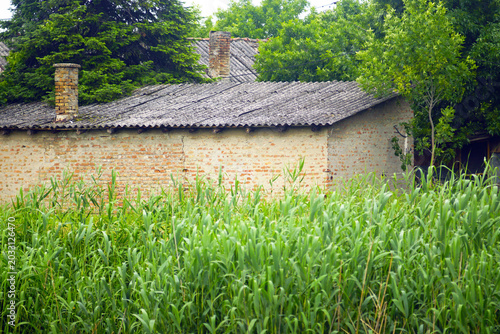 Photos Weathered building partially concealed behind greenery near wetland edge