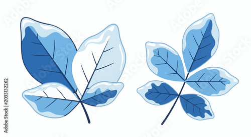 Two branches with blue leaves covered in ice and snow