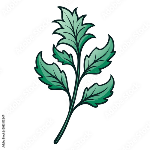 Vászonkép acanthus mollis flower with branch on white background