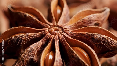 Macro Closeup of Star Anise Spice Pod with Intricate Details.