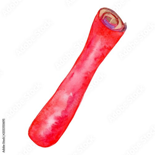 Tableau sur toile A red roll of paper depicted in watercolor