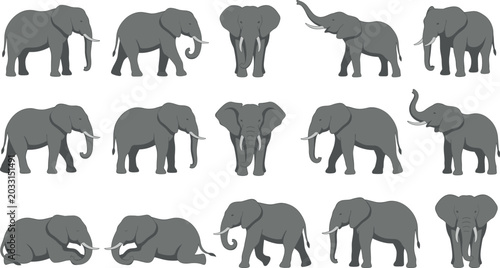 Photography Grey Elephant Vector Illustration Set Featuring Flat Cartoon Wild Animals in Mul