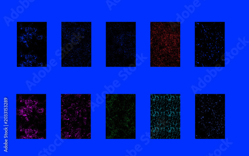 SET OF VECTOR BANNERS WITH DIFFERENT SHAPES