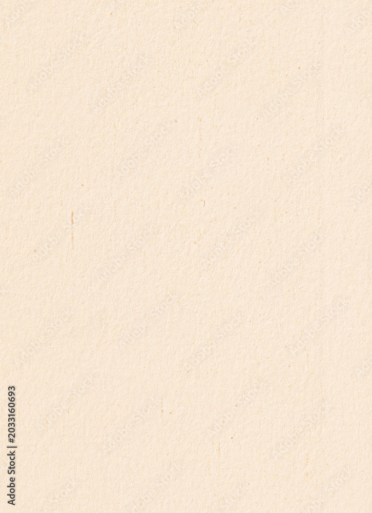 Fototapeta premium Light Beige Paper Texture Background